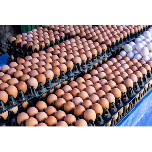 Crate of Eggs